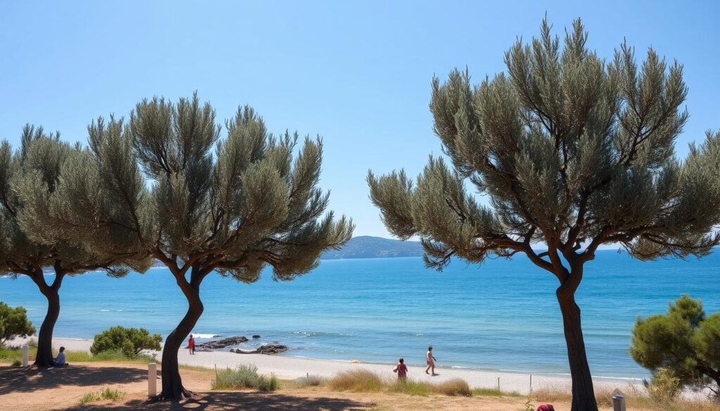 Kadikalesi beach Bodrum Turkey Kadikalesi beach Bodrum Turkey